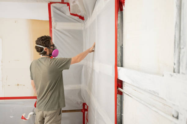 Best Mold Removal for HVAC Installations  in Wofford Heights, CA